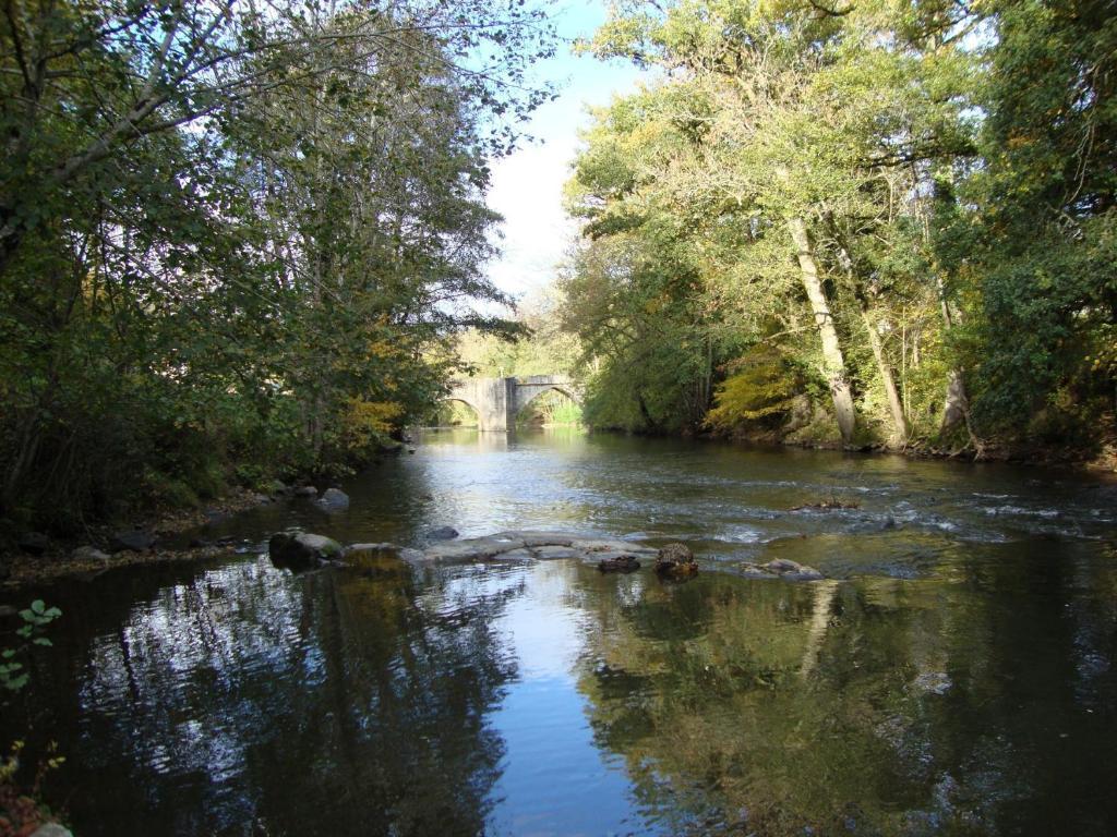 לינה וארוחת בוקר Solignac Domaine De La Dame De Lauriere מראה חיצוני תמונה