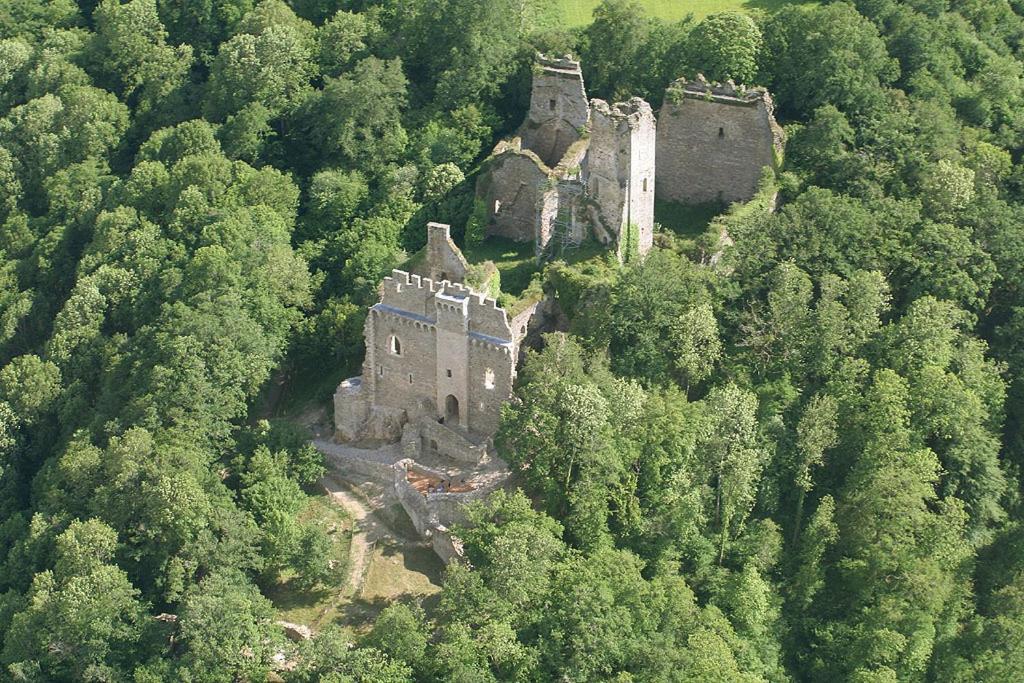לינה וארוחת בוקר Solignac Domaine De La Dame De Lauriere מראה חיצוני תמונה